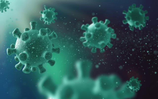 corona virus